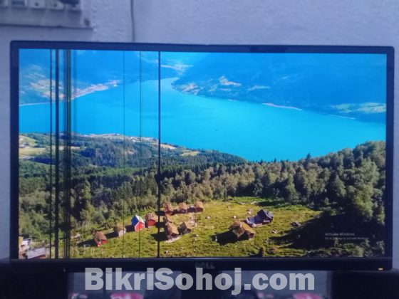 DELL 22 inch monitor